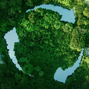 MHl Power Dongfang Boiler Co., Ltd. (MHDB)